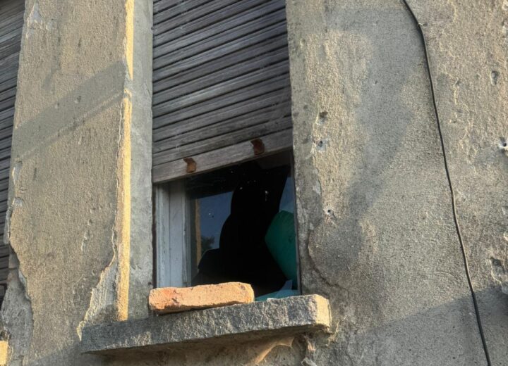 Vandali al Gattile di Tortona: “Aiutateci a trovare alcuni dei nostri felini e a ricostruire l’accaduto”