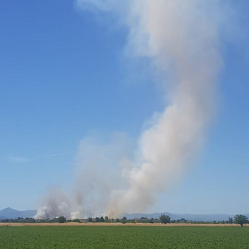 Incendio sterpaglie a Pozzolo Formigaro