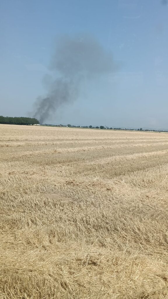 incendio sterpaglie