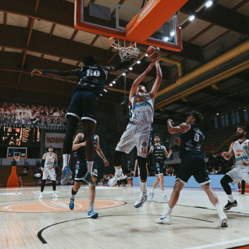 Novipiù Monferrato Basket riparte dal capitano: Niccolò Martinoni resta in rossoblu