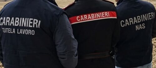 Carabinieri di Vigevano scoprono pensione per cani abusiva. Attività sospesa e sanzioni per 3 mila euro