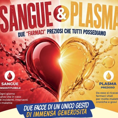 “Sangue e plasma, farmaci preziosi che tutti possediamo”. la campagna di Avis per trovare nuovi donatori