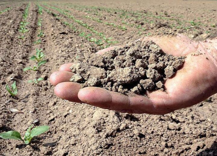 Con l’ondata di caldo scatta l’allarme siccità sul Po. Coldiretti: “Bacino padano principale polo agroalimentare”