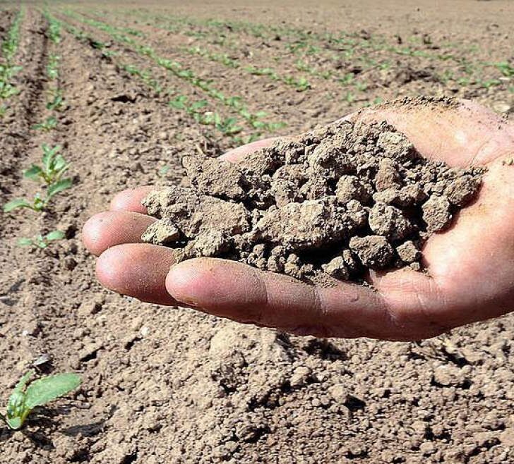Con l’ondata di caldo scatta l’allarme siccità sul Po. Coldiretti: “Bacino padano principale polo agroalimentare”