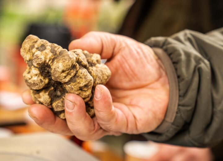 Luca Pappagallo racconta il tartufo: “Il bianco non va cucinato, va esaltato”