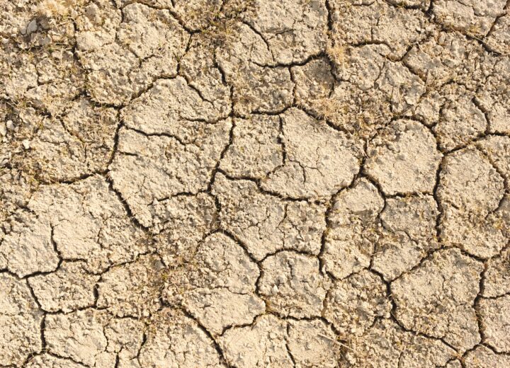 Caldo record nell’Alessandrino: a San Michele superati i 40 gradi