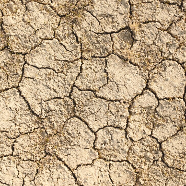 Caldo record nell’Alessandrino: a San Michele superati i 40 gradi