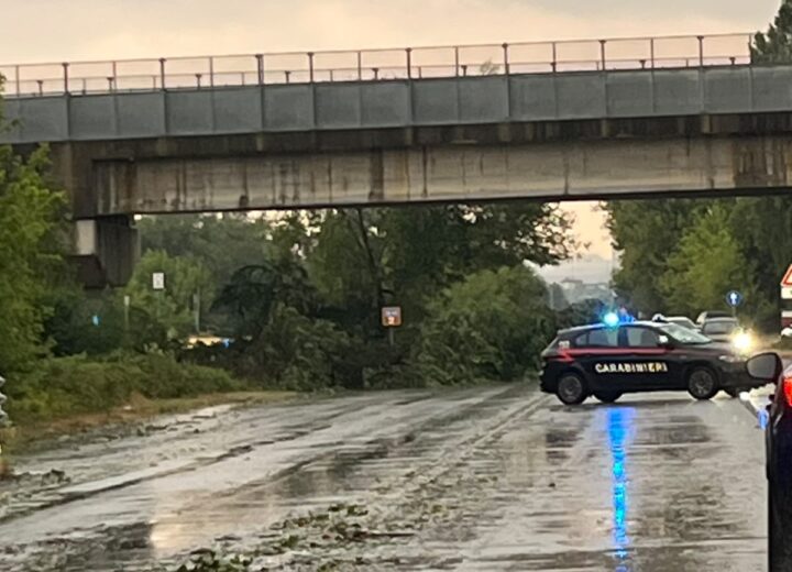 Maltempo nell’Alessandrino: alberi caduti, danni a tetti e disagi alla circolazione