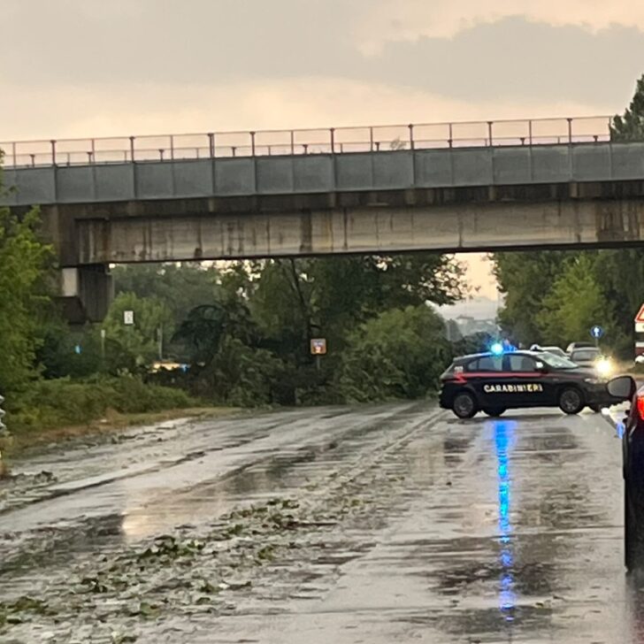 Maltempo nell’Alessandrino: alberi caduti, danni a tetti e disagi alla circolazione