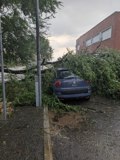 Maltempo nell’Alessandrino: alberi caduti, danni a tetti e disagi alla circolazione