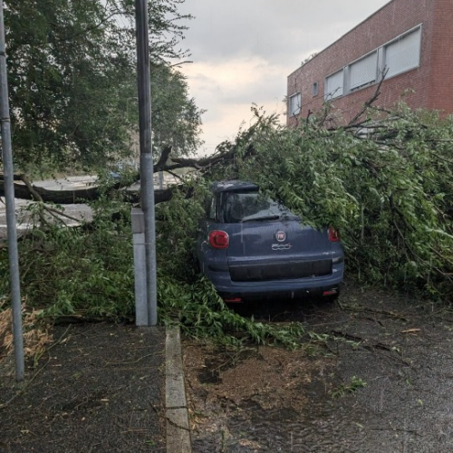 Maltempo: albero cade su un’auto in zona D3 ad Alessandria, disagi anche sulla tangenziale. Grandine nel Tortonese