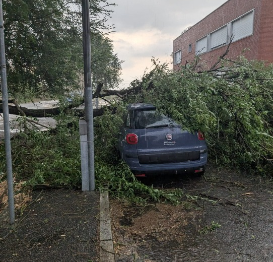 Maltempo nell’Alessandrino: alberi caduti, danni a tetti e disagi alla circolazione
