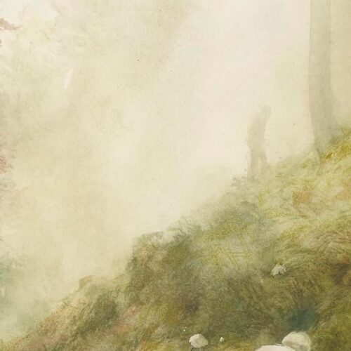 Nuove uscite in libreria: dai giganti del Novecento di Deaglio all’arte di andare a funghi