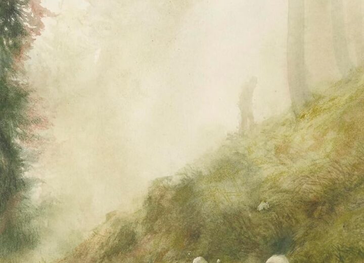 Nuove uscite in libreria: dai giganti del Novecento di Deaglio all’arte di andare a funghi