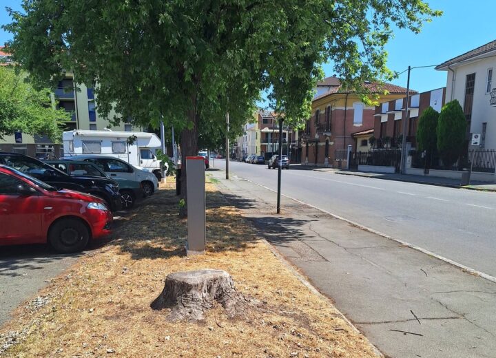 Alberi tagliati, parcheggi assolati e la necessità di cambiare prospettiva