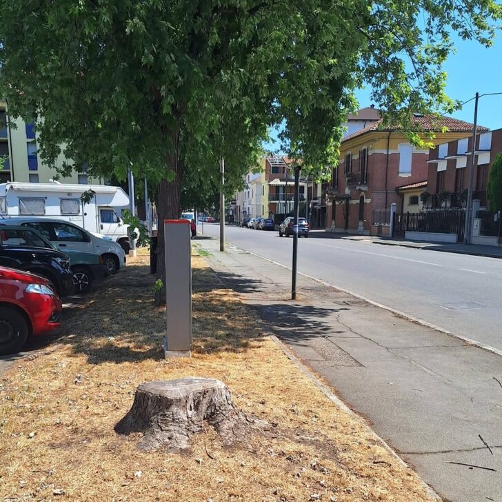 Alberi tagliati, parcheggi assolati e la necessità di cambiare prospettiva