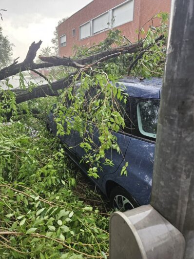 Maltempo nell’Alessandrino: alberi caduti, danni a tetti e disagi alla circolazione