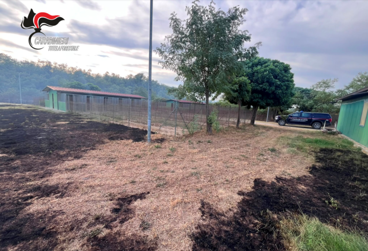 Canile minacciato dalle fiamme nei giorni dell’incendio a Sezzadio: Carabinieri Forestali salvano 20 cani