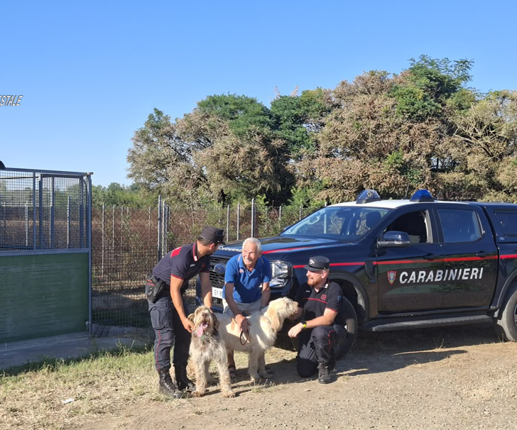 Canile minacciato dalle fiamme nei giorni dell’incendio a Sezzadio: Carabinieri Forestali salvano 20 cani