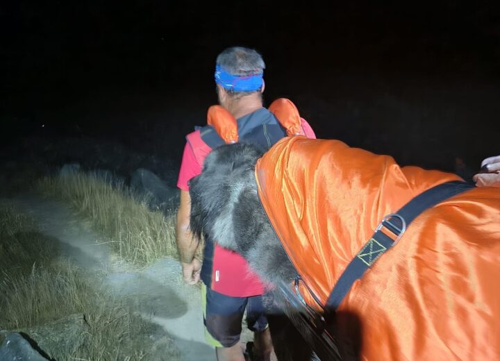 Cane troppo stanco lungo il sentiero: interviene il Soccorso alpino
