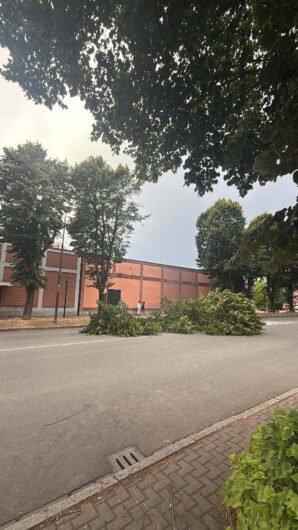 Temporali in arrivo sull’Alessandrino: primi fenomeni tra Val Cerrina e Casalese, ad Alessandria pianta cade in viale Teresa Michel