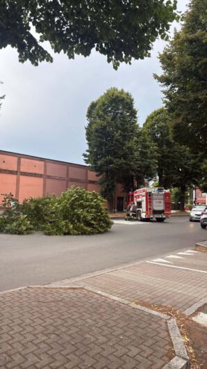 Temporali in arrivo sull’Alessandrino: primi fenomeni tra Val Cerrina e Casalese, ad Alessandria pianta cade in viale Teresa Michel