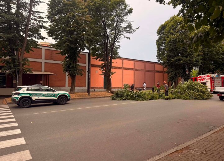 Temporali in arrivo sull’Alessandrino: primi fenomeni tra Val Cerrina e Casalese, ad Alessandria pianta cade in viale Teresa Michel