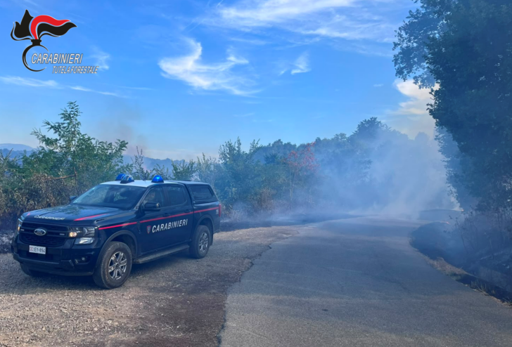 Canile minacciato dalle fiamme nei giorni dell’incendio a Sezzadio: Carabinieri Forestali salvano 20 cani