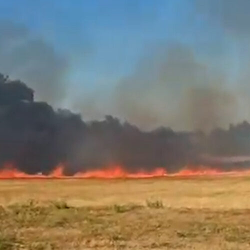Incendio di un campo di grano a Masio: al lavoro i Vigili del Fuoco