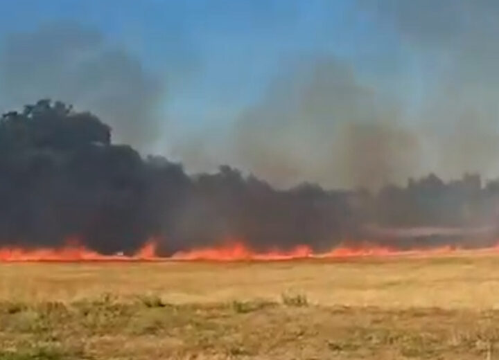 Incendio di un campo di grano a Masio: al lavoro i Vigili del Fuoco