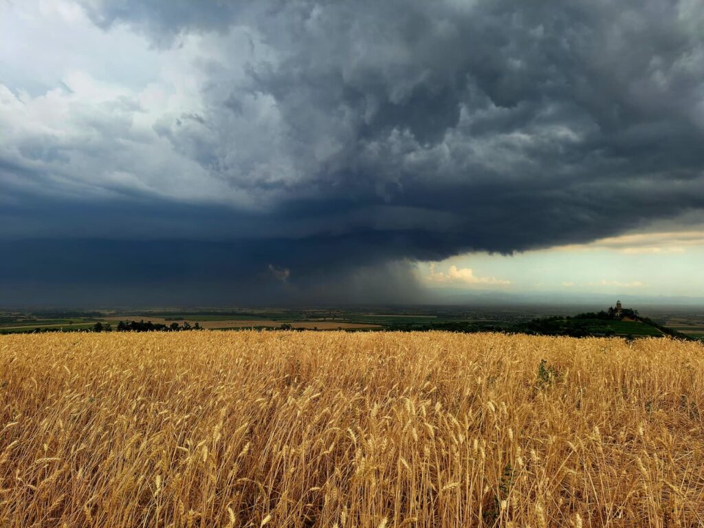 Vento temporale - Foto di Matteo Robbiano Protezione Civile
