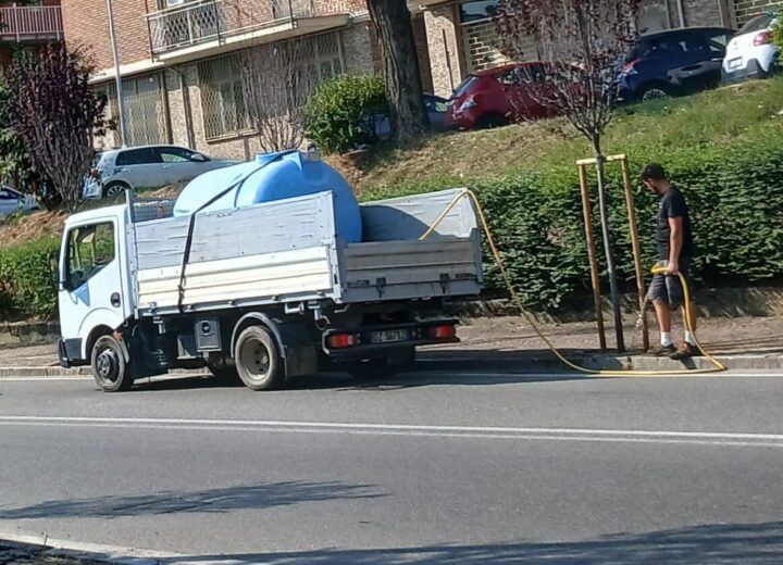 Acqua alle piante e polemiche appassite? A Valenza lo scontro elettorale è sempre verde