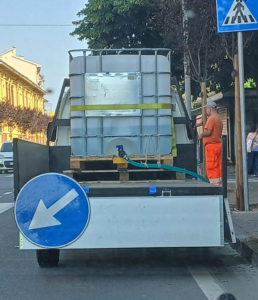 Siccità alberi valenza