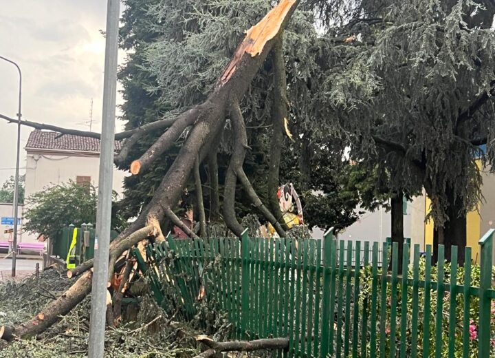 Maltempo: alberi e pali abbattuti dal vento in provincia di Alessandria