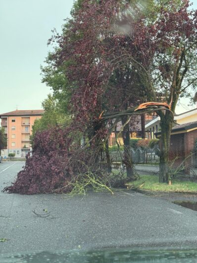 Maltempo: alberi e abbattuti dal vento in provincia di Alessandria. Novi tra i Comuni più colpiti