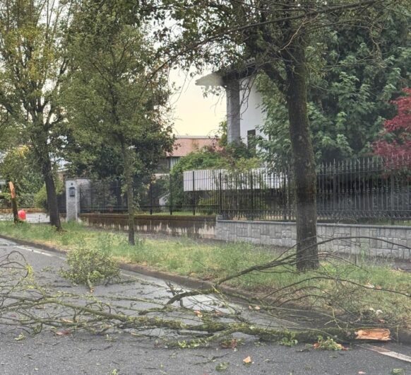 Maltempo: alberi e abbattuti dal vento in provincia di Alessandria. Novi tra i Comuni più colpiti