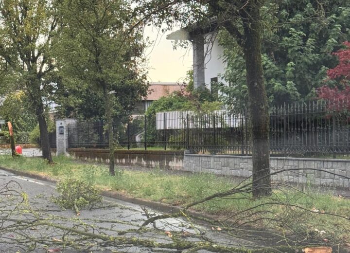 Nubifragio del 15 luglio a Novi Ligure: raccolta gratuita di rami e ramaglie a domicilio