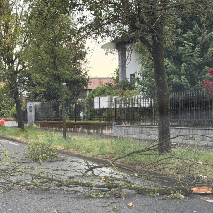 Nubifragio del 15 luglio a Novi Ligure: raccolta gratuita di rami e ramaglie a domicilio