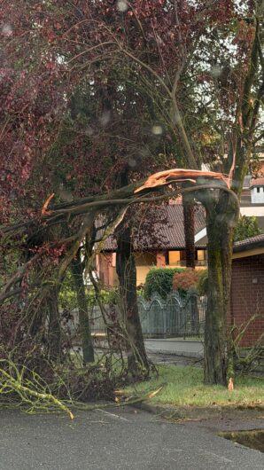 Maltempo: alberi e abbattuti dal vento in provincia di Alessandria. Novi tra i Comuni più colpiti
