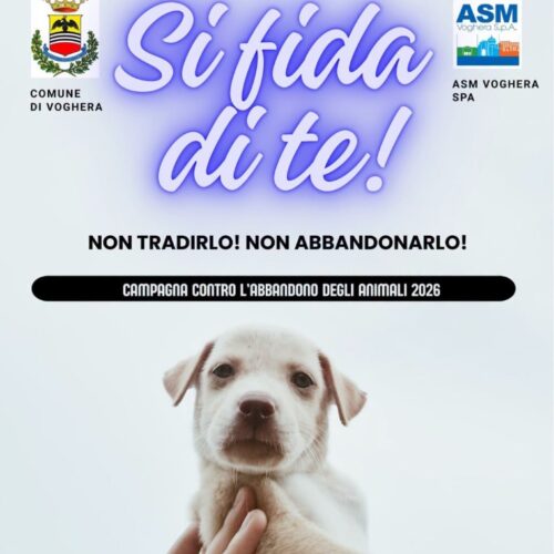 “Si fida di te. Non tradirlo”. ASM e Comune di Voghera contro l’abbandono degli animali