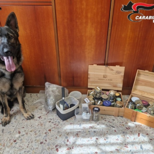 Quasi un chilo e mezzo di droga nascosto in casa: Carabinieri di Vercelli arrestano un cinquantenne 