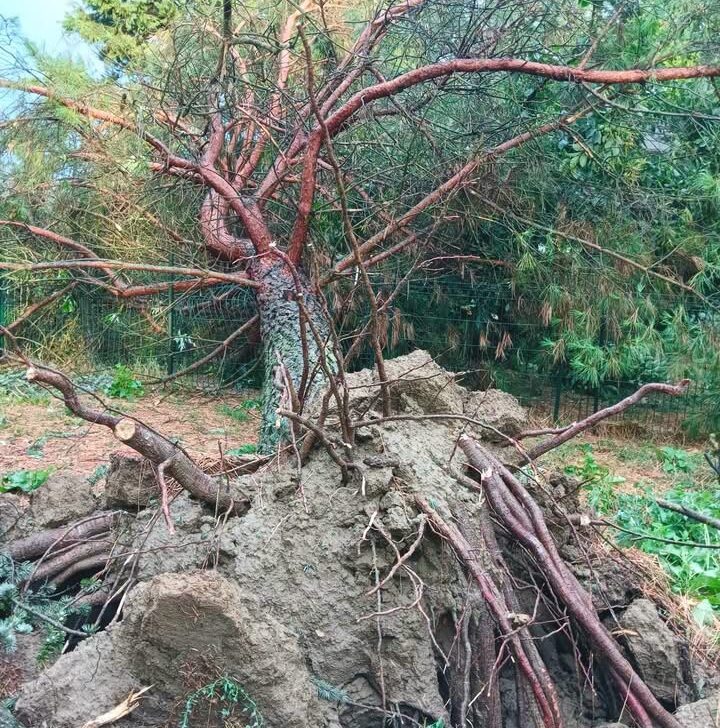 Casal Cermelli dichiara lo stato di calamità naturale dopo il nubifragio del 15 luglio