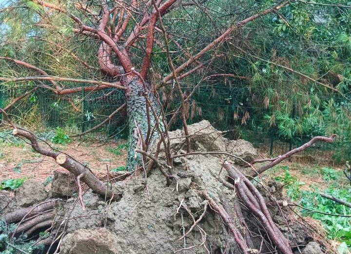 Casal Cermelli dichiara lo stato di calamità naturale dopo il nubifragio del 15 luglio
