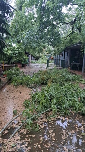 Tetti scoperchiati, alberi caduti e colture a rischio: a Casal Cermelli la conta dei danni dopo il maltempo
