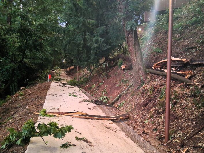 Novi Ligure, il giorno dopo il temporale: oltre 70 alberi danneggiati e Parco Castello chiuso. Prosegue la messa in sicurezza