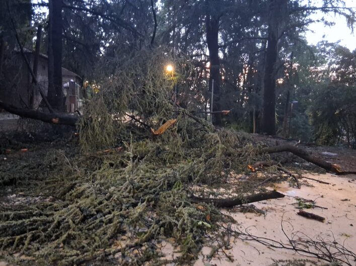 Novi Ligure, il giorno dopo il temporale: oltre 70 alberi danneggiati e Parco Castello chiuso. Prosegue la messa in sicurezza