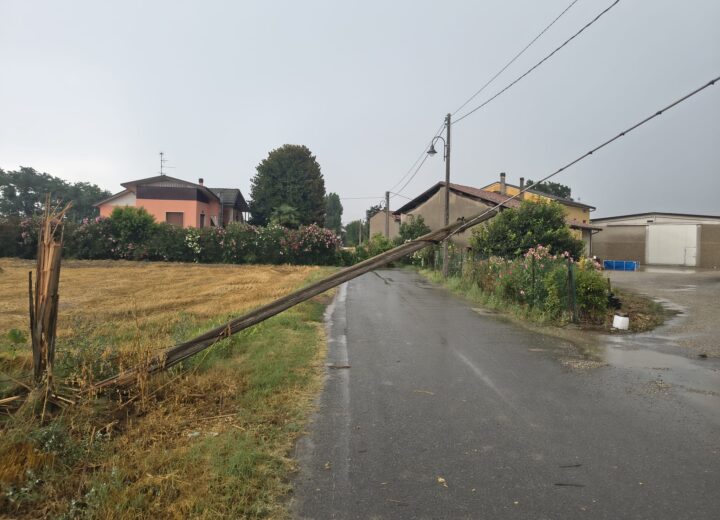 Maltempo: a Isola Sant’Antonio pali del telefono e una pianta abbattuti dal vento