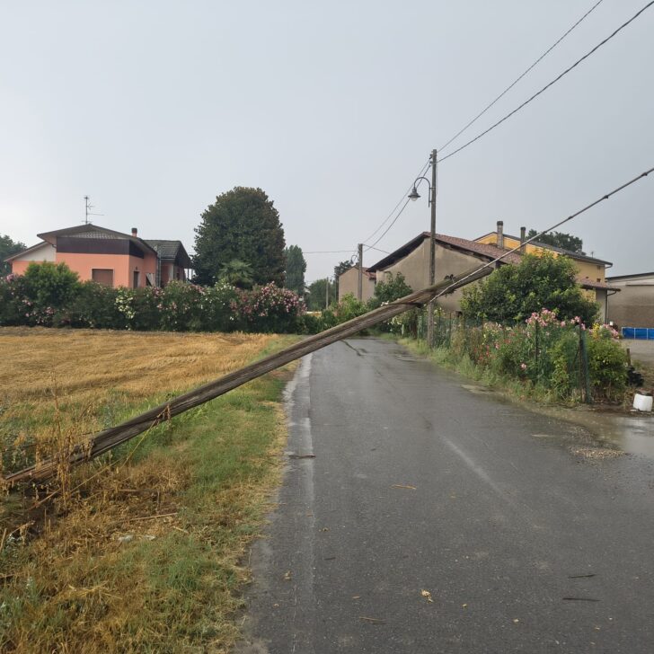 Maltempo: a Isola Sant’Antonio pali del telefono e una pianta abbattuti dal vento