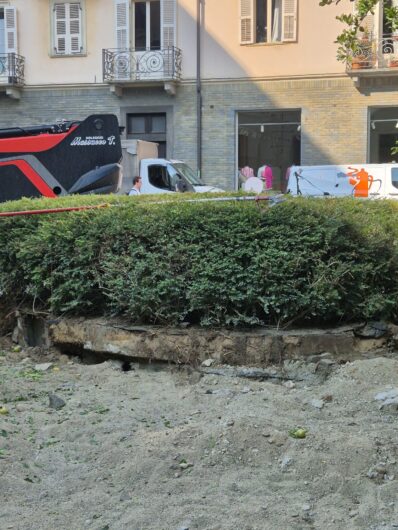 I melograni della Fons Vitae trovano una nuova casa a Biella. Trasferiti nel parco della scuola XXV Aprile
