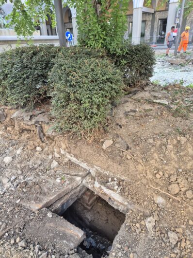 I melograni della Fons Vitae trovano una nuova casa a Biella. Trasferiti nel parco della scuola XXV Aprile